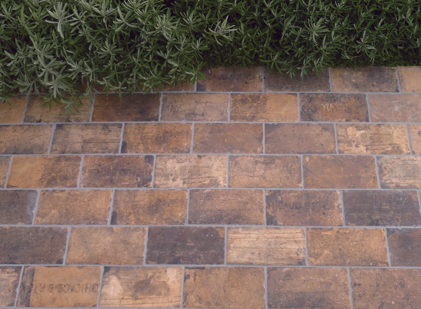 Chicago State Street