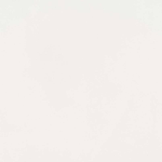 Super Thassos GLS 24x24x0.5 Polished