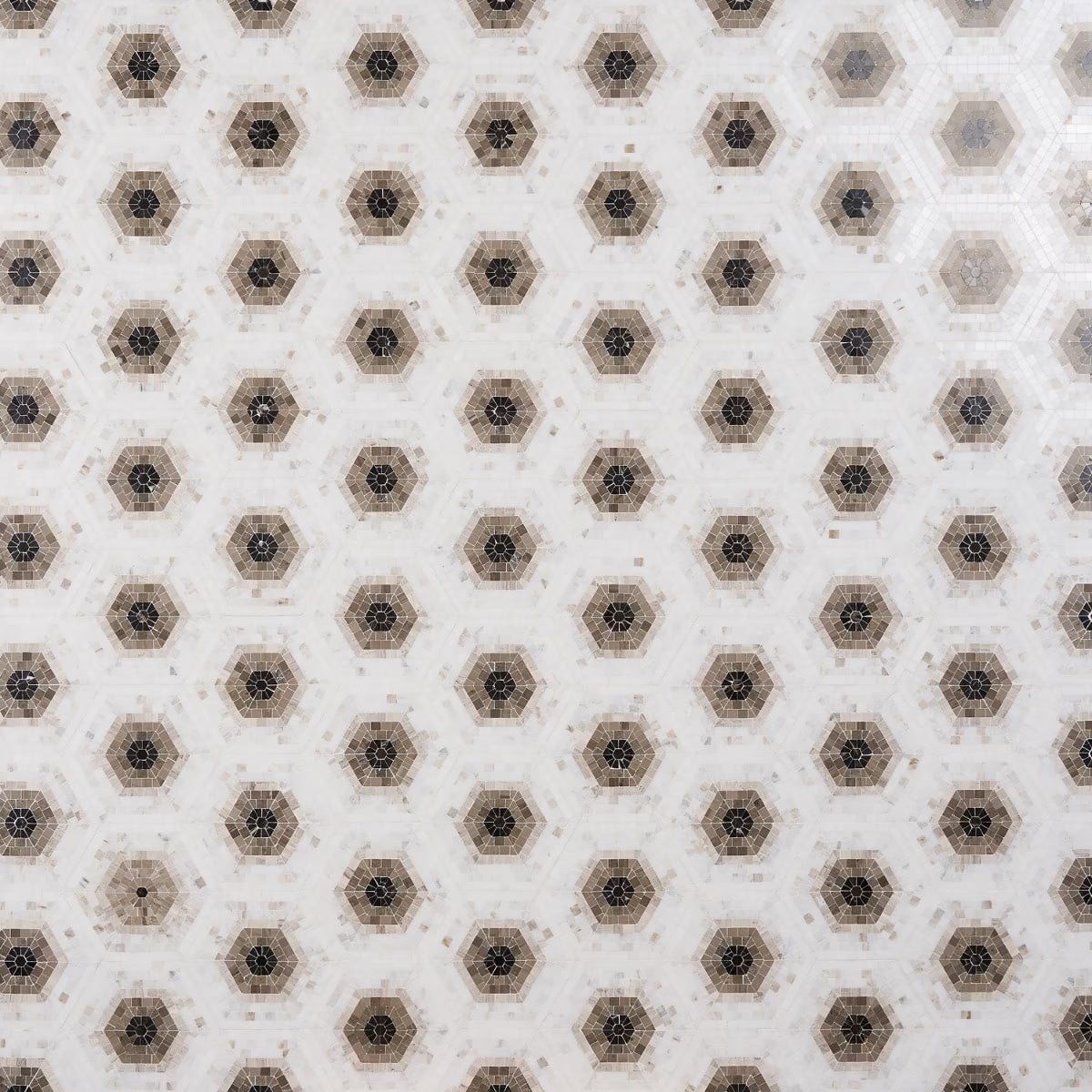 Imogen Saint Laurent Hex