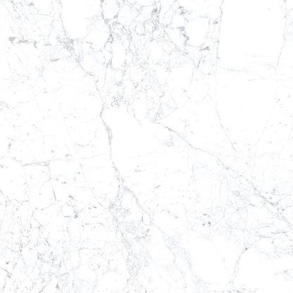 Kobe Statuarietto 24x24