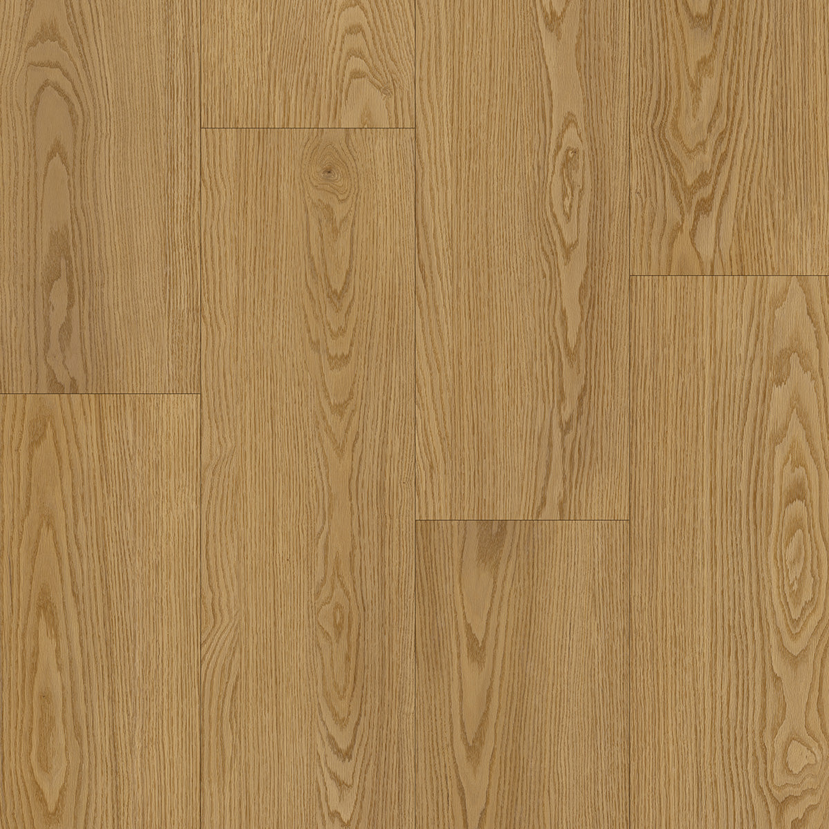 AZUL TORTUGA Islamorada SPC