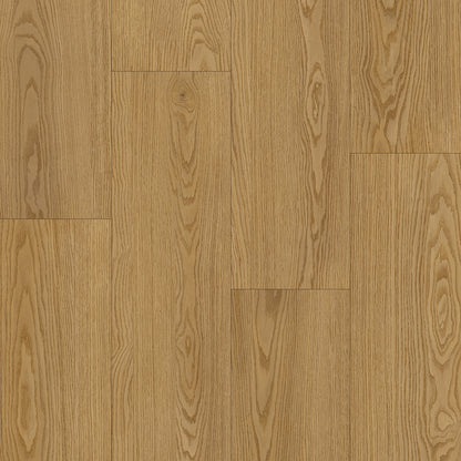 AZUL TORTUGA Islamorada SPC