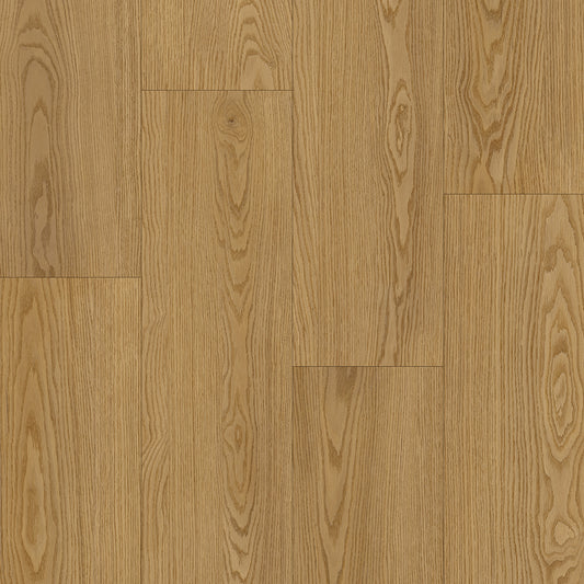 AZUL TORTUGA Islamorada SPC