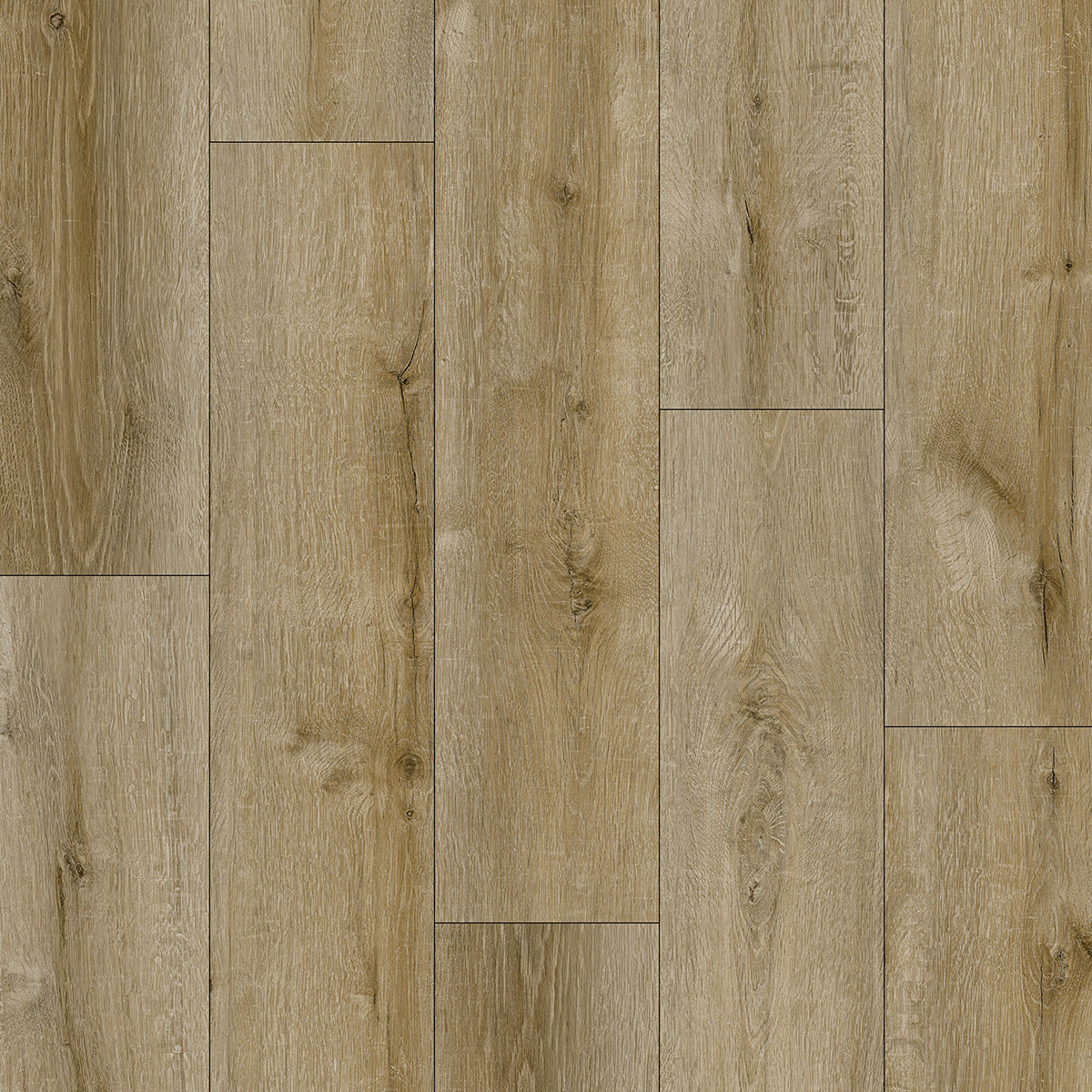 AZUL TORTUGA Loredo SPC