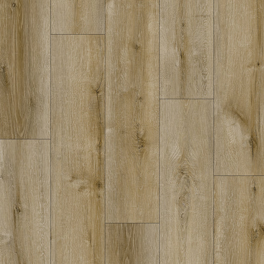 AZUL TORTUGA Loredo SPC