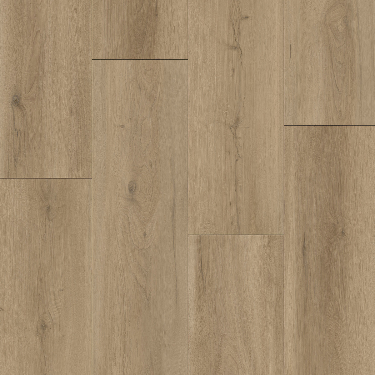 AZUL TORTUGA Myrtle Beach SPC