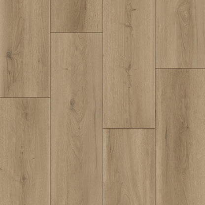 AZUL TORTUGA Myrtle Beach SPC