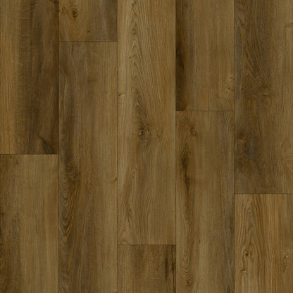 AZUL TORTUGA Palomino SPC