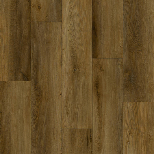 AZUL TORTUGA Palomino SPC