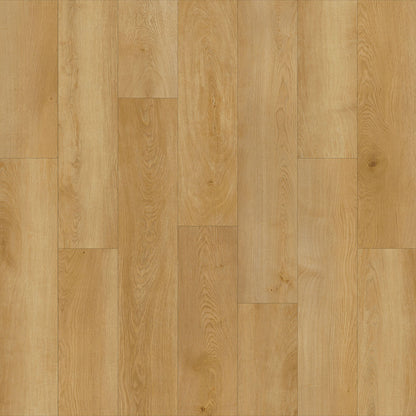 AZUL TORTUGA Rehoboth SPC