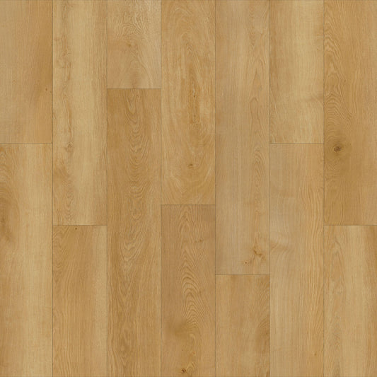 AZUL TORTUGA Rehoboth SPC