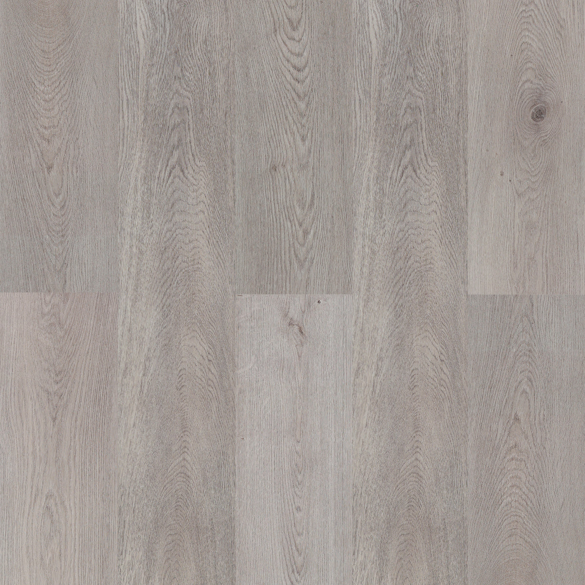 AZUL TORTUGA Venice Beach SPC