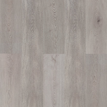 AZUL TORTUGA Venice Beach SPC