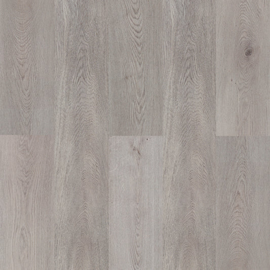 AZUL TORTUGA Venice Beach SPC