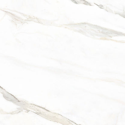 Marmo Classico Calacatta Oro 12X12