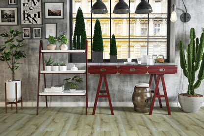 AZUL TORTUGA Loredo SPC