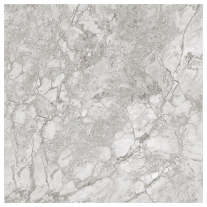 Versailles Silver Matte