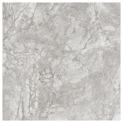 Versailles Silver Polished