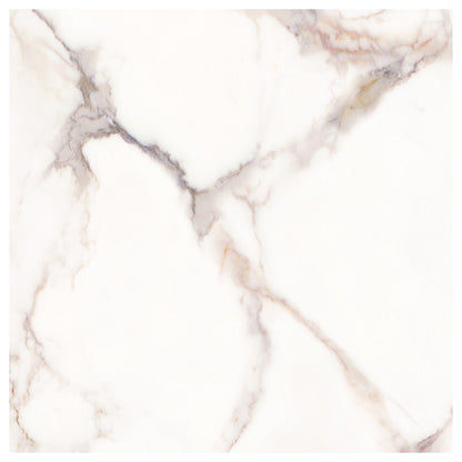 Versailles White Matte