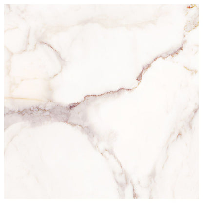 Versailles White Polished