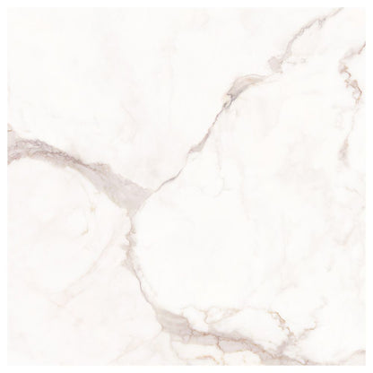 Versailles White Matte