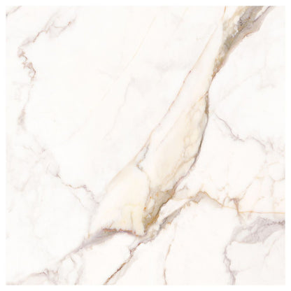 Versailles White Polished