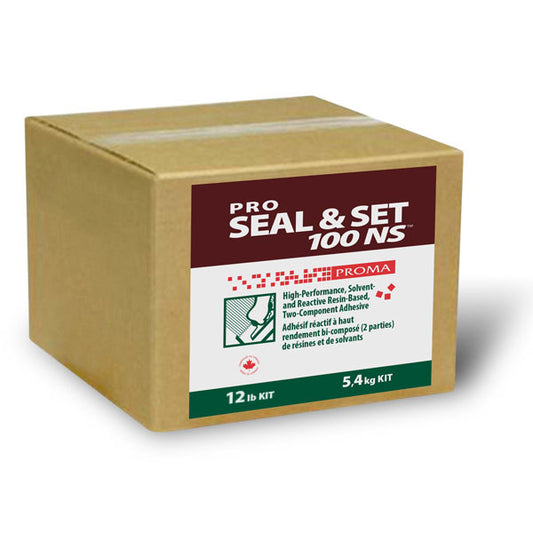 Proma Pro Seal & Set 100 Natural Stone