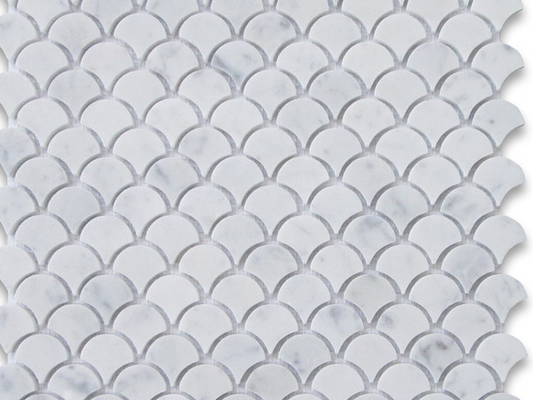 Italian Bianco Carrara Fan Seashell Mosaic Polished